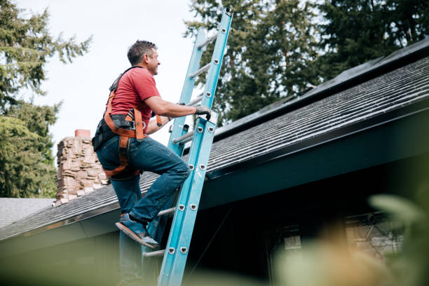 Best Chimney Flashing Repair  in Arden Arde, CA